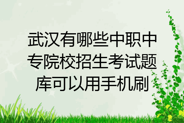 武汉有哪些中职中专院校招生考试题库可以用手机刷