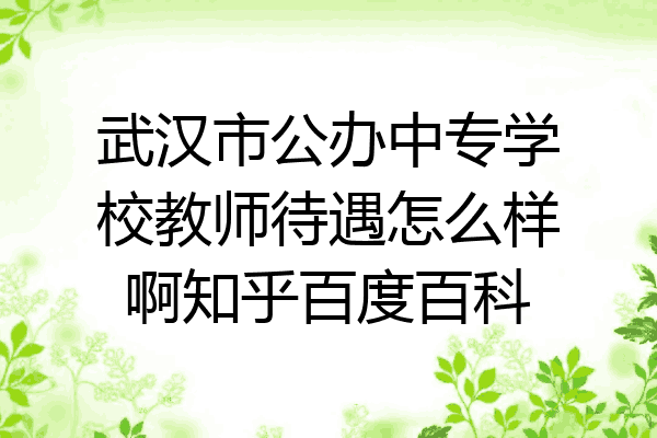 武汉市公办中专学校教师待遇怎么样啊知乎百度百科