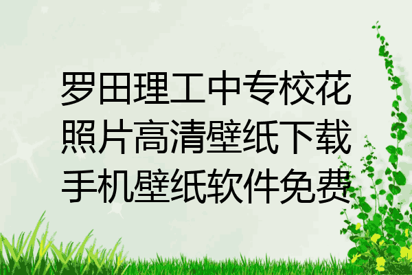 罗田理工中专校花照片高清壁纸下载手机壁纸软件免费