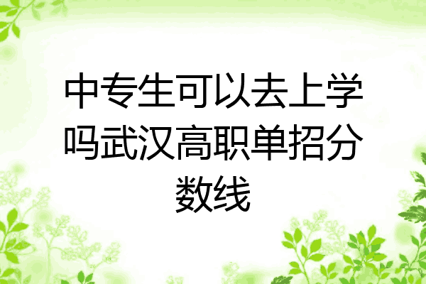 中专生可以去上学吗武汉高职单招分数线