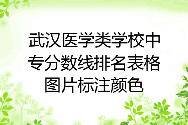 武汉医学类学校中专分数线排名表格图片标注颜色