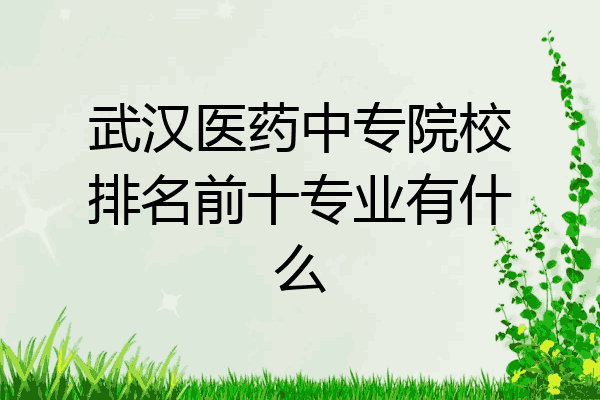 武汉医药中专院校排名前十专业有什么