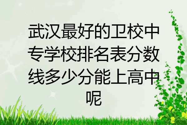 武汉最好的卫校中专学校排名表分数线多少分能上高中呢