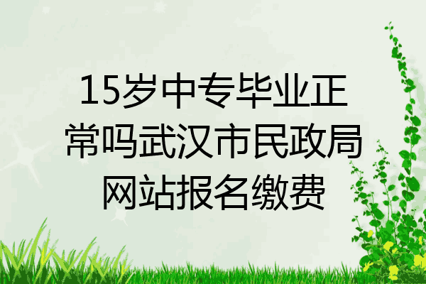 15岁中专毕业正常吗武汉市民政局网站报名缴费