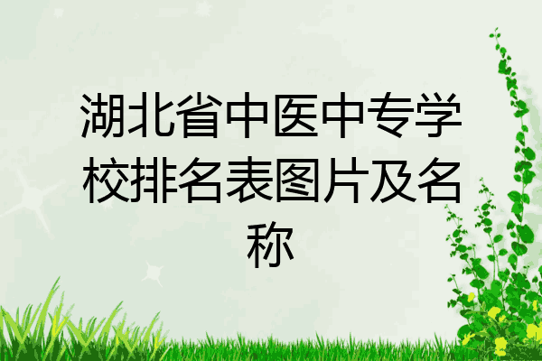 湖北省中医中专学校排名表图片及名称