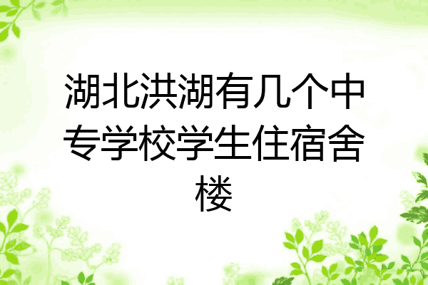 湖北洪湖有几个中专学校学生住宿舍楼