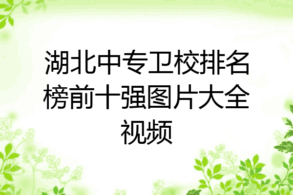 湖北中专卫校排名榜前十强图片大全视频