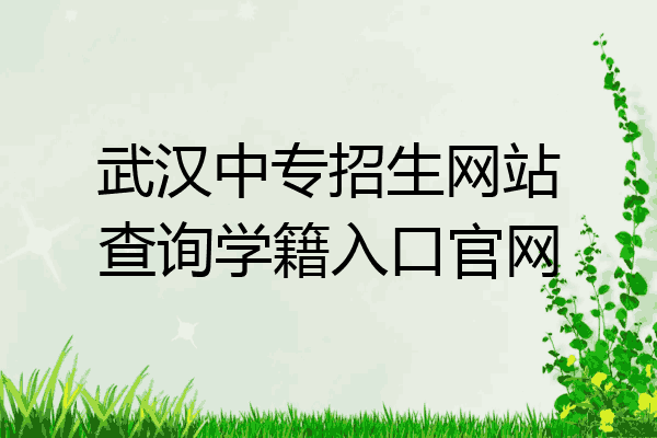 武汉中专招生网站查询学籍入口官网