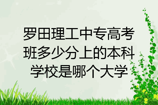 罗田理工中专高考班多少分上的本科学校是哪个大学