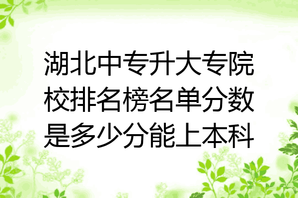 湖北中专升大专院校排名榜名单分数是多少分能上本科