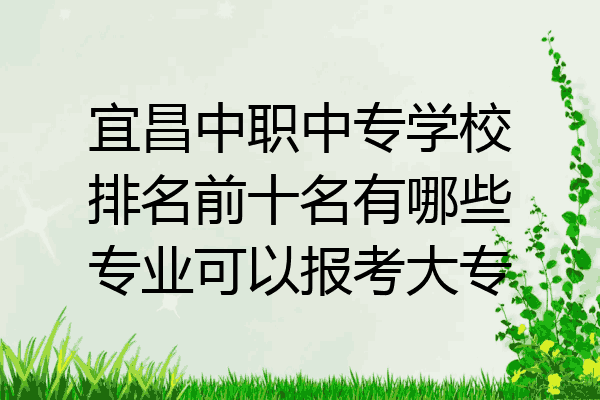 宜昌中职中专学校排名前十名有哪些专业可以报考大专