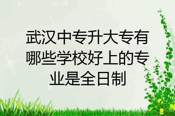 武汉中专升大专有哪些学校好上的专业是全日制