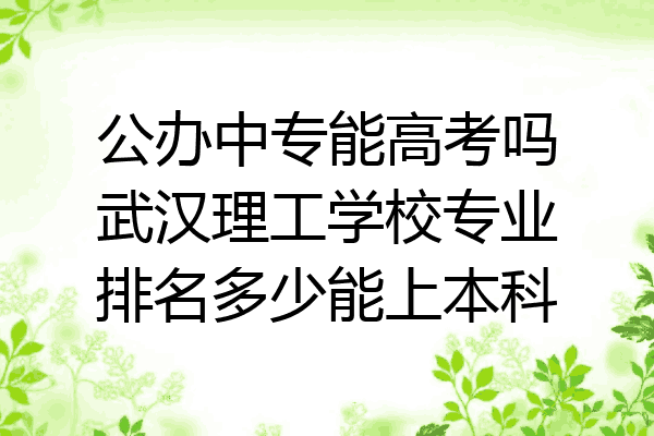 公办中专能高考吗武汉理工学校专业排名多少能上本科