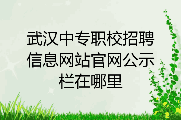 武汉中专职校招聘信息网站官网公示栏在哪里