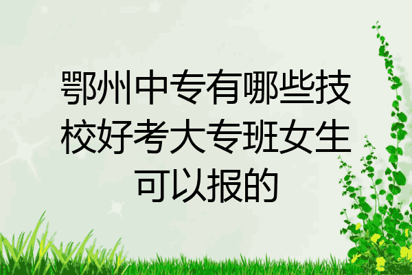鄂州中专有哪些技校好考大专班女生可以报的