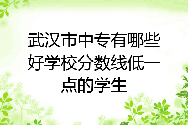 武汉市中专有哪些好学校分数线低一点的学生