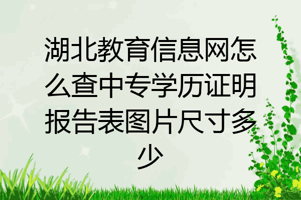 湖北教育信息网怎么查中专学历证明报告表图片尺寸多少