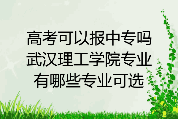 高考可以报中专吗武汉理工学院专业有哪些专业可选