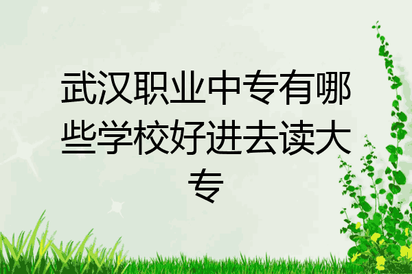 武汉职业中专有哪些学校好进去读大专
