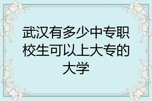武汉有多少中专职校生可以上大专的大学