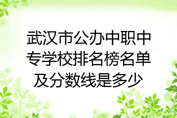 武汉市公办中职中专学校排名榜名单及分数线是多少
