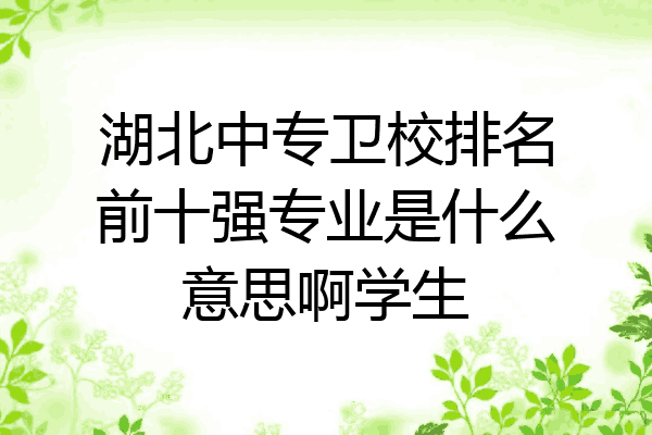 湖北中专卫校排名前十强专业是什么意思啊学生