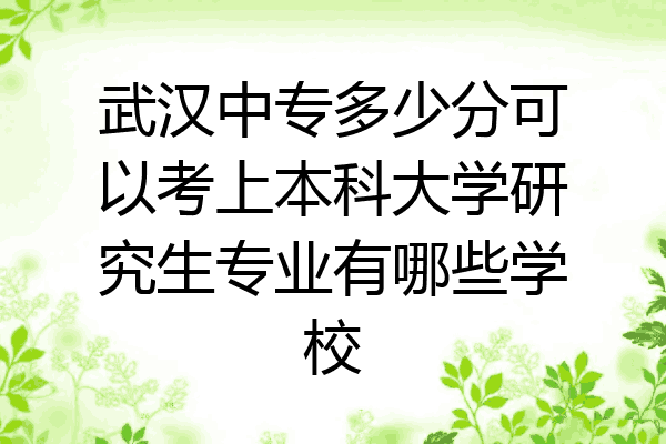 武汉中专多少分可以考上本科大学研究生专业有哪些学校