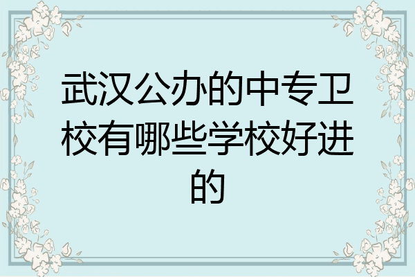 武汉公办的中专卫校有哪些学校好进的