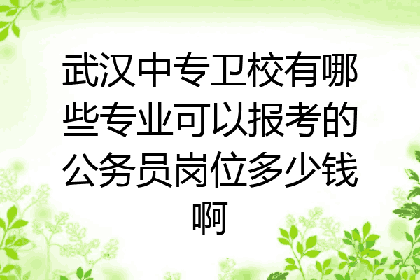 武汉中专卫校有哪些专业可以报考的公务员岗位多少钱啊