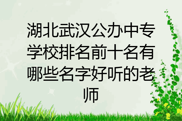 湖北武汉公办中专学校排名前十名有哪些名字好听的老师