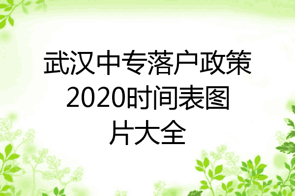 武汉中专落户政策2020时间表图片大全