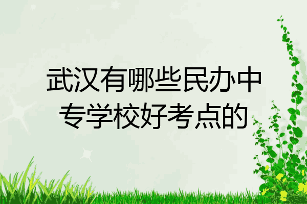 武汉有哪些民办中专学校好考点的