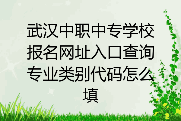 武汉中职中专学校报名网址入口查询专业类别代码怎么填
