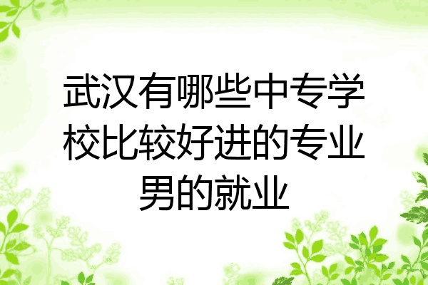 武汉有哪些中专学校比较好进的专业男的就业