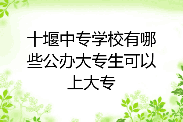 十堰中专学校有哪些公办大专生可以上大专