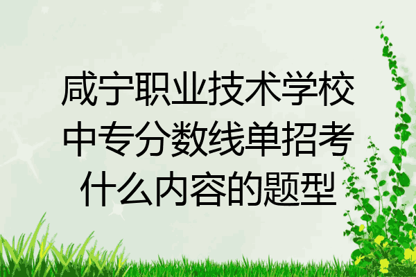 咸宁职业技术学校中专分数线单招考什么内容的题型