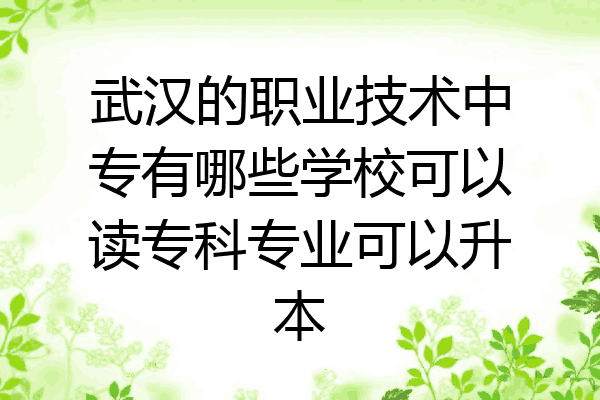 武汉的职业技术中专有哪些学校可以读专科专业可以升本