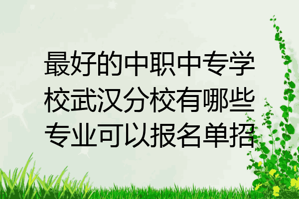 最好的中职中专学校武汉分校有哪些专业可以报名单招