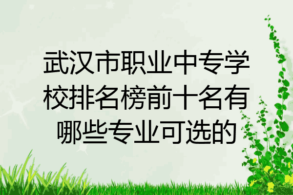 武汉市职业中专学校排名榜前十名有哪些专业可选的