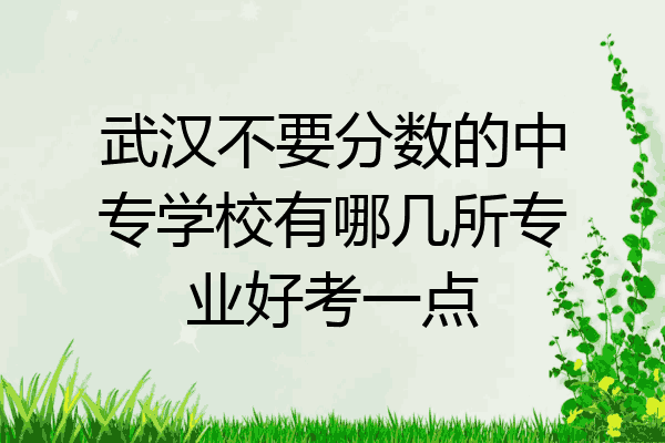 武汉不要分数的中专学校有哪几所专业好考一点