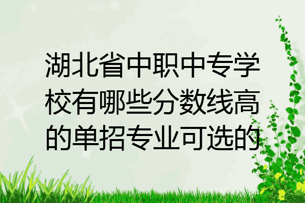 湖北省中职中专学校有哪些分数线高的单招专业可选的
