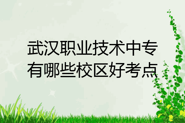 武汉职业技术中专有哪些校区好考点