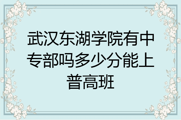 武汉东湖学院有中专部吗多少分能上普高班