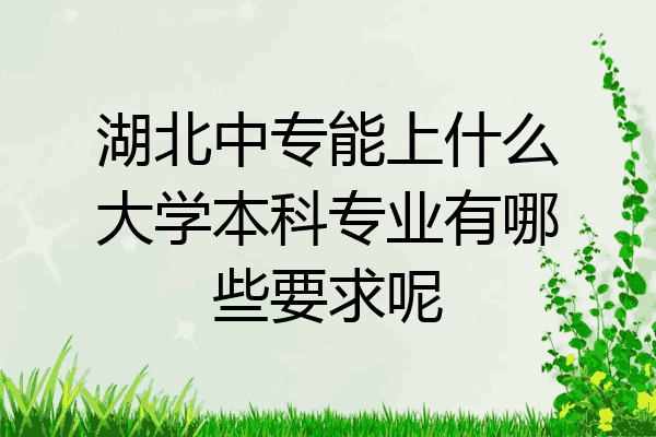 湖北中专能上什么大学本科专业有哪些要求呢