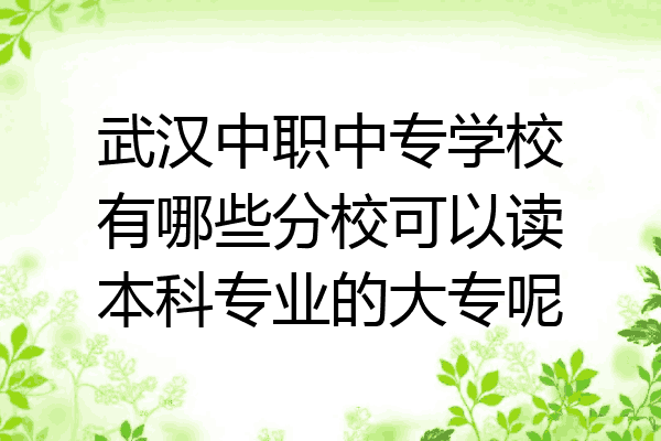 武汉中职中专学校有哪些分校可以读本科专业的大专呢