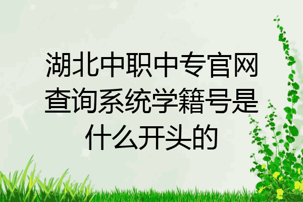 湖北中职中专官网查询系统学籍号是什么开头的