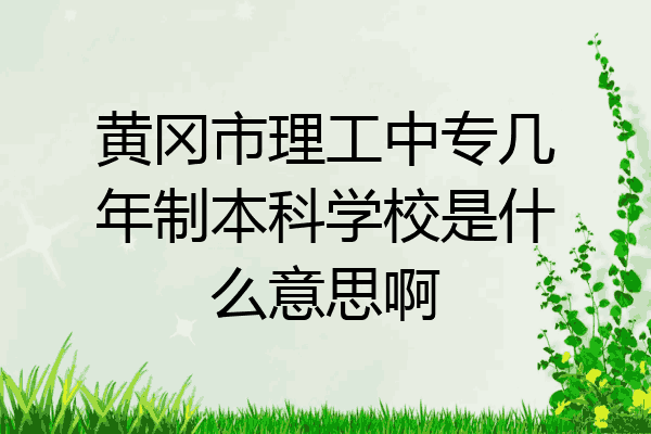 黄冈市理工中专几年制本科学校是什么意思啊
