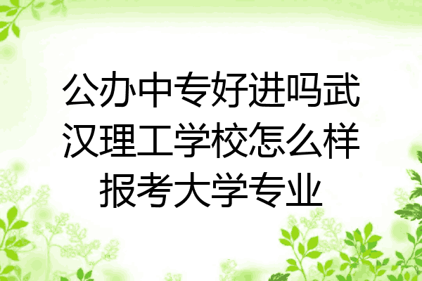公办中专好进吗武汉理工学校怎么样报考大学专业