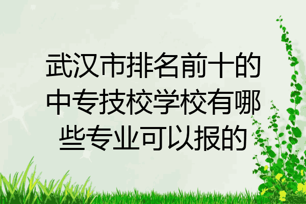 武汉市排名前十的中专技校学校有哪些专业可以报的