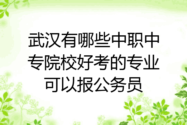 武汉有哪些中职中专院校好考的专业可以报公务员